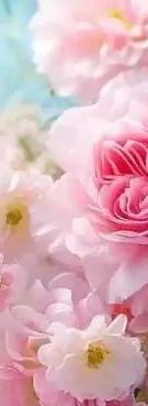 深圳婚外情调查收费情况_深圳婚外情调查大师_深圳婚外情调查